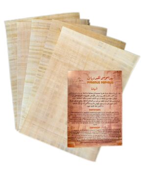 5 Blank Egyptian Papyrus Sheets 20x30 cm (First grade)