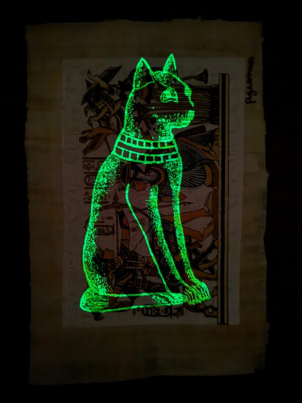 Tutankhamun hunting trip, illuminated Papyrus 20x30 cm - Image 2